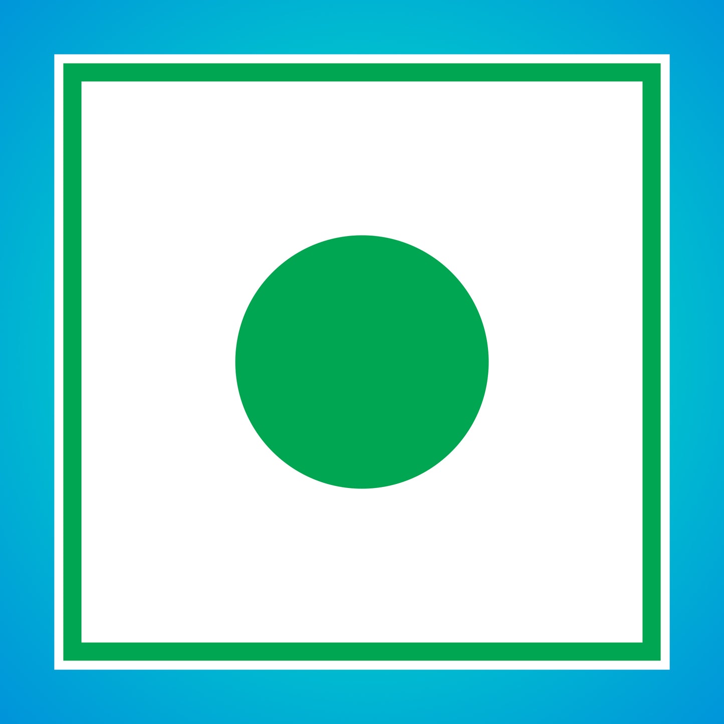 Premium Raisins | Seedless | 100% Pure | Source of Potassium | Long in Size | Upto 20 Quality Parameters Tested | 250g / 500g