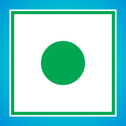 Premium Raisins | Seedless | 100% Pure | Source of Potassium | Long in Size | Upto 20 Quality Parameters Tested | 250g / 500g